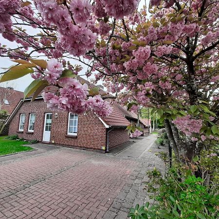 Apartament Ebbe Norden Zewnętrze zdjęcie