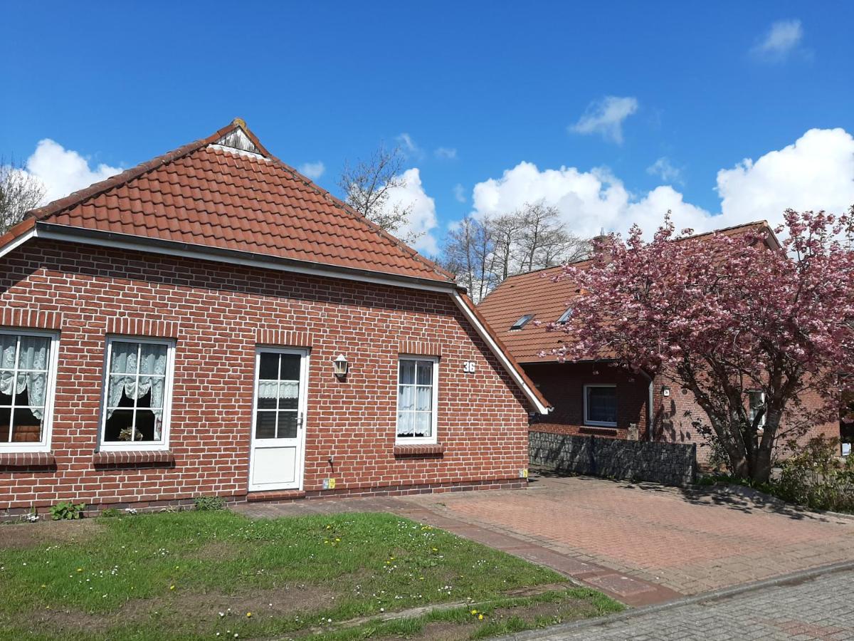Apartament Ebbe Norden Zewnętrze zdjęcie